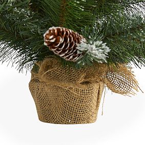 Frosted Tabletop Faux Pine Christmas Tree - 2'