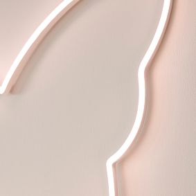 Butterfly Wall Neon Light