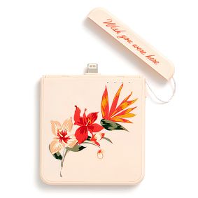 ban.do® Back Me Up! Mobile Charger