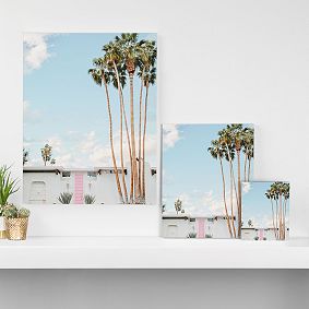 Pink Door in Palm Springs Art