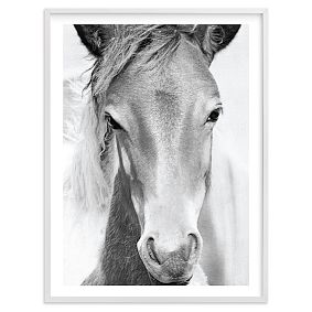 Minted® Wild and Free Framed Art