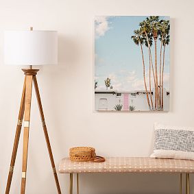 Pink Door in Palm Springs Art