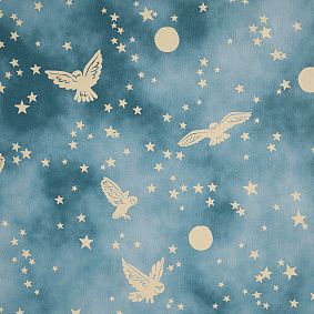 Harry Potter™ Enchanted Night Sky Wallpaper