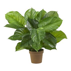 Faux Potted Philodendron Plant