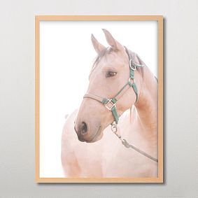 Minted® Soulful Framed Art by Alicia Abla