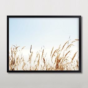 Minted® Windswept View Framed Art by Morgan Kendall
