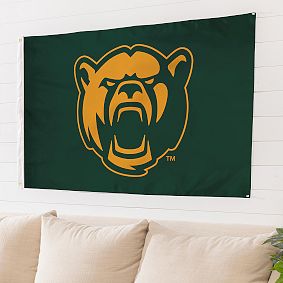 College Single-Sided Flag