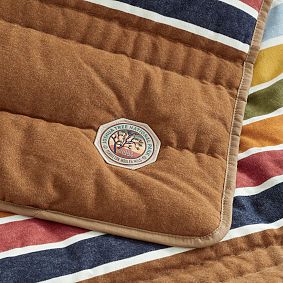 Pendleton® Joshua Tree Stripe Comforter