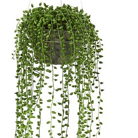 21" String of Pearl Potted Faux Plant