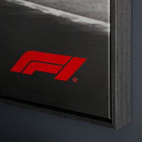 Formula 1&reg; Car Framed Photo Art