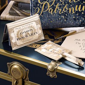 Harry Potter™ Express Ticket™ Passport Case and Bag Tag