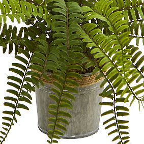 Assorted Ferns with Planter Artificial Plant S/3