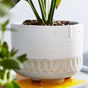 Face Planters, Set of 2