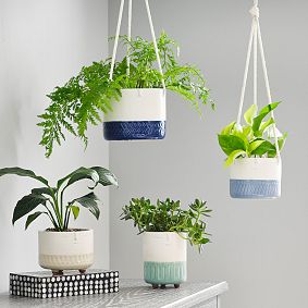 Face Planters, Set of 2