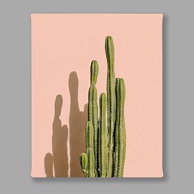 Minted® Palm Desert Cactus Canvas Art by Lisa Sundin