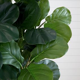 Fiddle Leaf Fig Artificial Tree