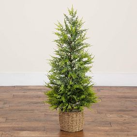 Pre-Lit Cypress Christmas Tree in Decorative Basket (3 Ft.)