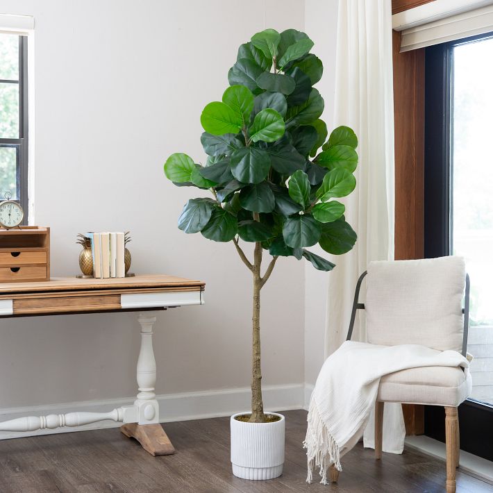 Fiddle Leaf Fig Artificial Tree | Pottery Barn Teen