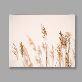 Minted® Summer Weeds Canvas Art by Crystal Lynn Collins