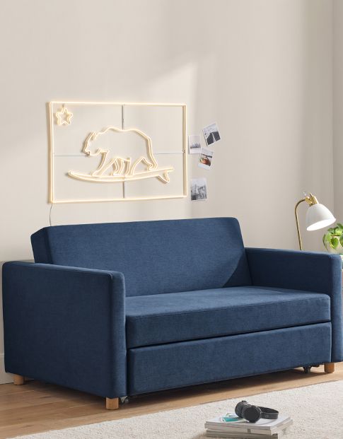 Sleeper Sofas &amp; Sectionals