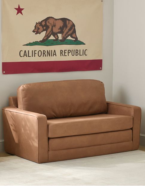 Sleeper Sofas &amp; Sectionals