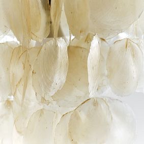 Large Capiz Flush Mount (18")