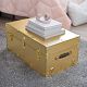 Video 1 for Metallic Standard Trunk (32")
