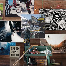 Wave Rider Wall Mural