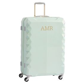Luxe Hard-Sided Mint Checked Spinner
