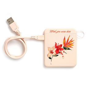 ban.do® Back Me Up! Mobile Charger