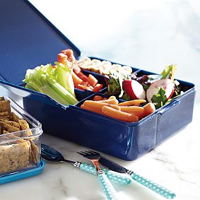 Bento Box Lunch Container
