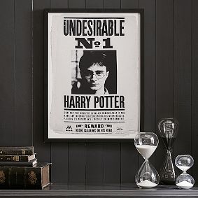 Harry Potter™ Framed Undesirable Art, 18"x24"