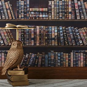 Harry Potter™ Bookshelf Wallpaper, 3'x9'