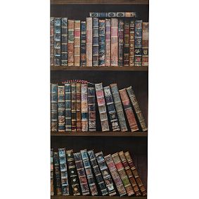 Harry Potter™ Bookshelf Wallpaper, 3'x9'