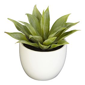 Faux Potted Southwest Plants, Set of 3