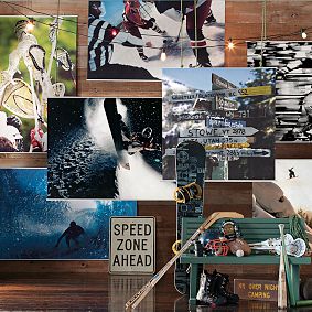 Lacrosse Wall Mural