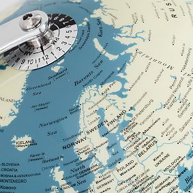 Wild &amp; Wolf Light Up Globe