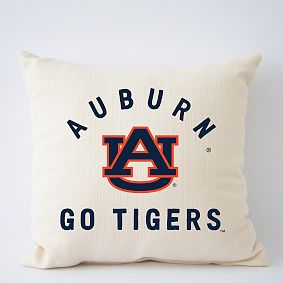 College Filled Pillow