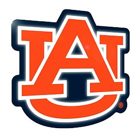 College Logo LED Wall Decor