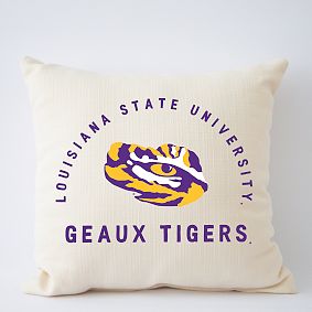 College Filled Pillow