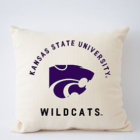 College Filled Pillow