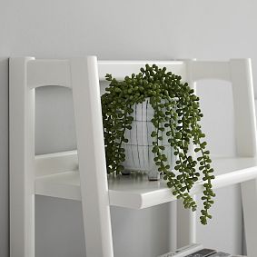 west elm x pbt Mid-Century Bookshelf with Storage Drawer (22")