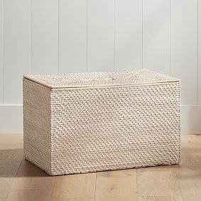 Quinn Storage Trunk