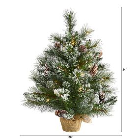 Frosted Tabletop Faux Pine Christmas Tree - 2'