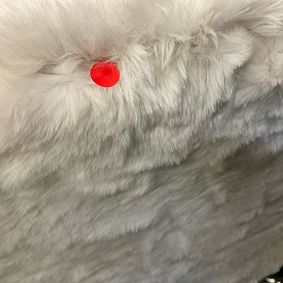 Open Box: Wingback Swivel Desk Chair - Polar Bear Faux Fur Ivory