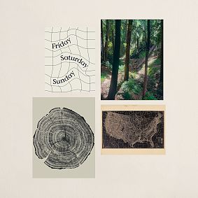 Forest Lines Art Print Poster Set