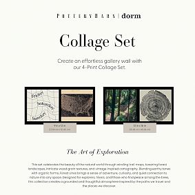 Forest Lines Art Print Poster Set