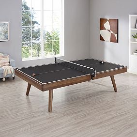 Mid-Century Modern Table Tennis
