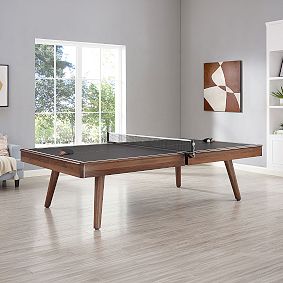 Mid-Century Modern Table Tennis