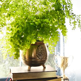 Harry Potter<sup>&trade;</sup> Cauldron Planter